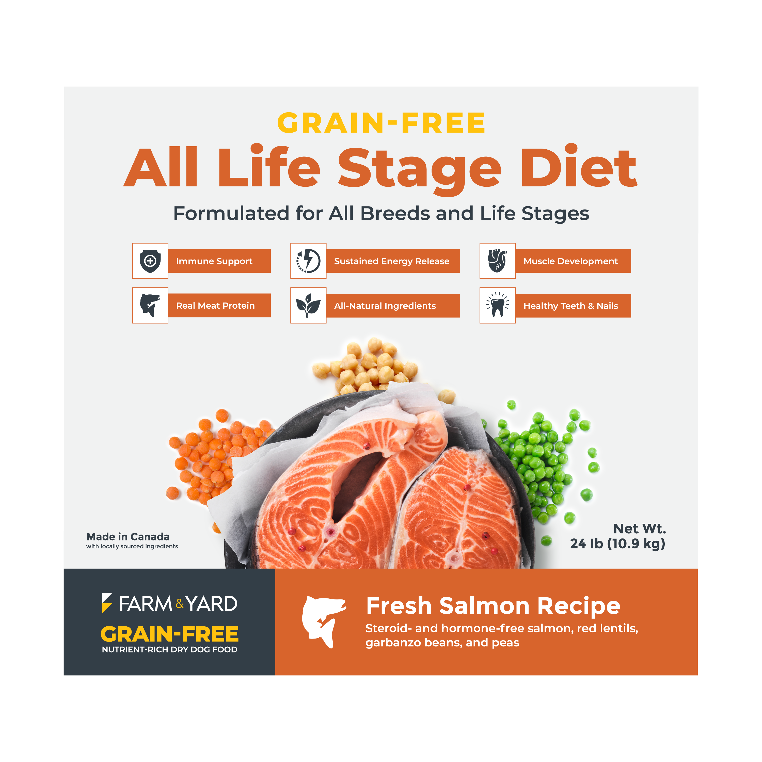 Grain-Free Nutrient-Rich Dry Dog Food - Salmon Recipe