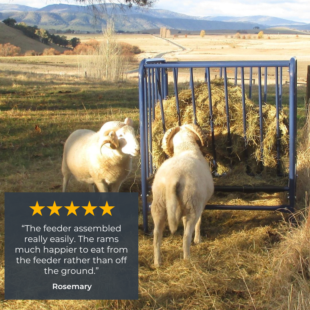 Adjustable Height Hay & Grain Feeder